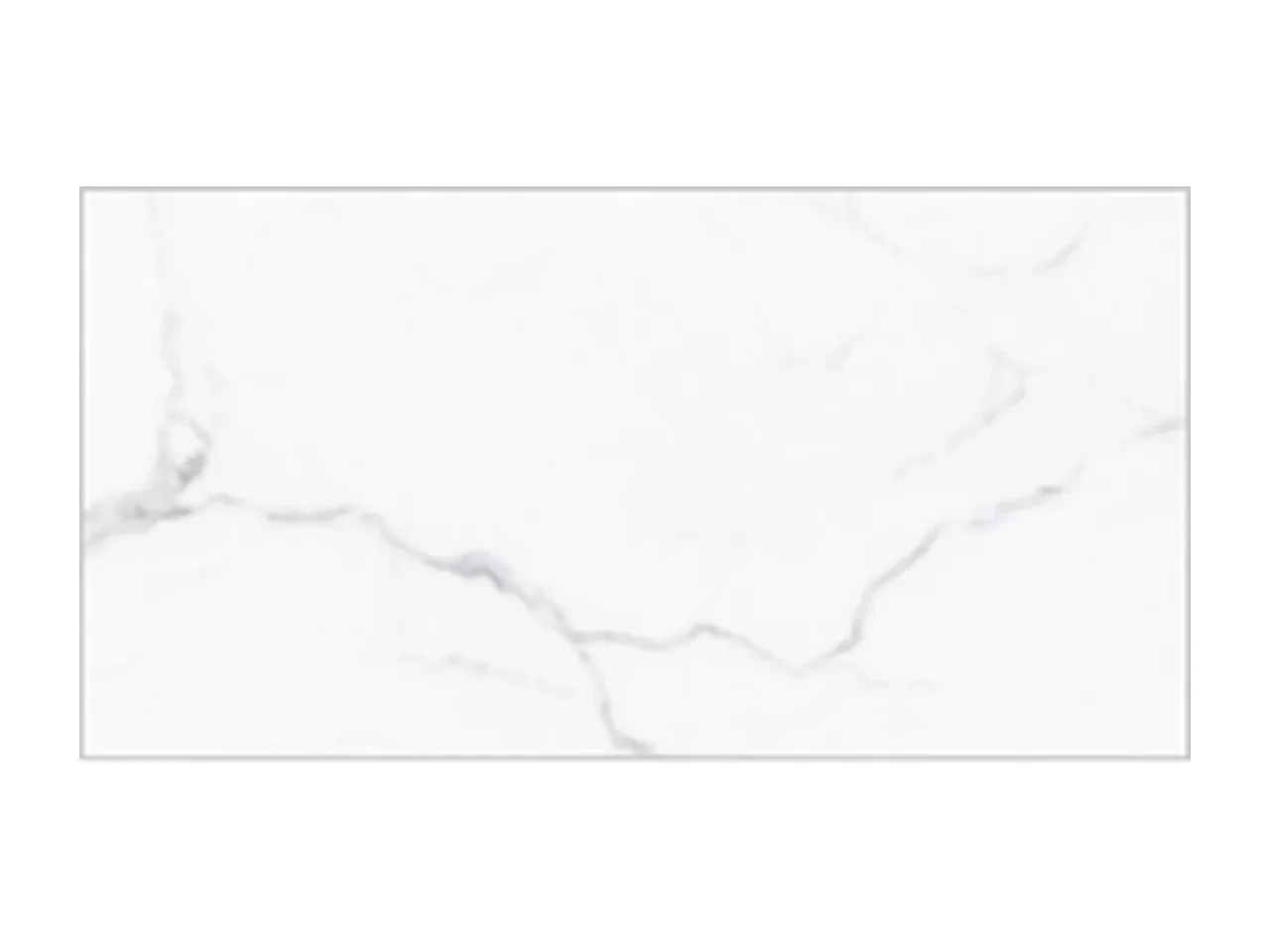 龙珠白 瓷砖 GFJQ48701